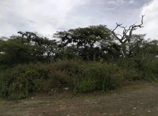 Terreno en venta en Puembo — imagen 2