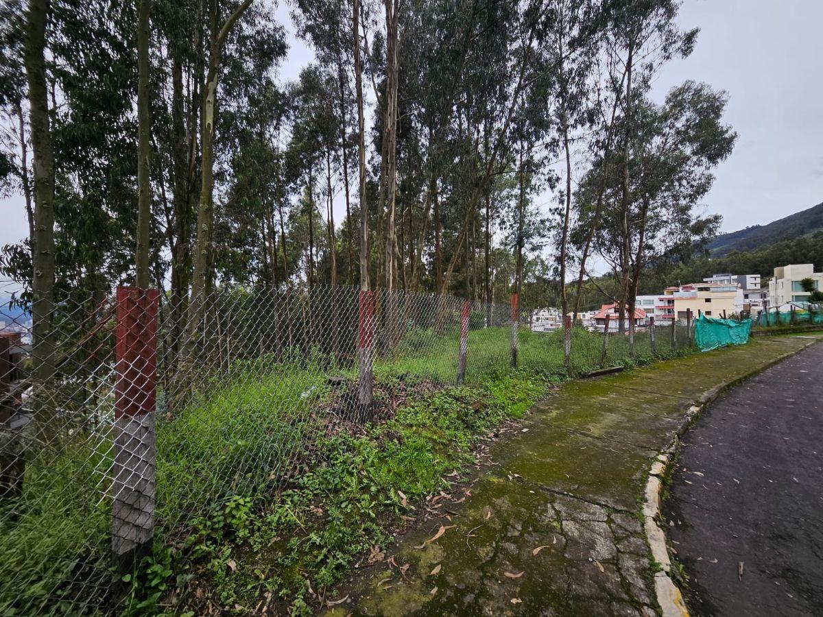 Terreno en Urbanizacion - Mariscal Sucre - Occidental — imagen 9