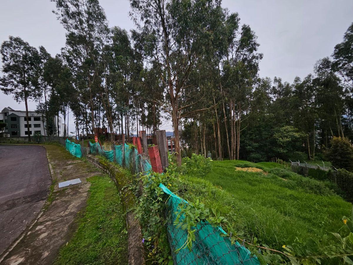 Terreno en Urbanizacion - Mariscal Sucre - Occidental — imagen 7