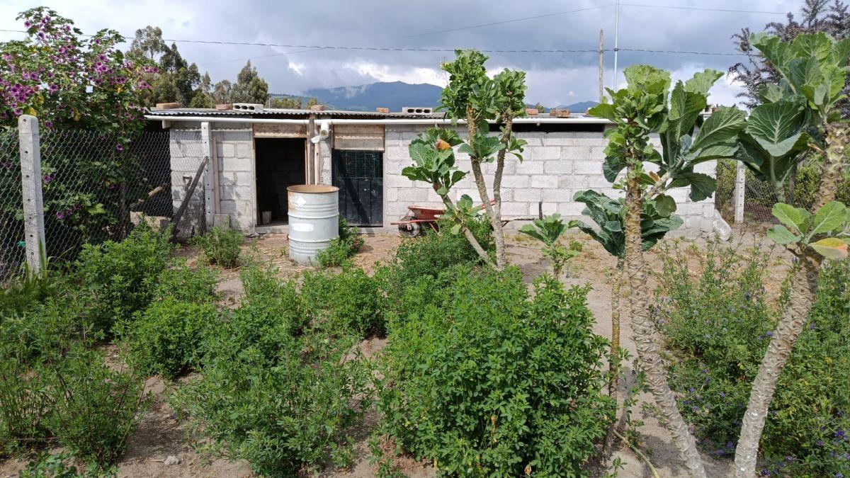 Venta Terreno Malchingui, Buena Esperanza 3030 m² — imagen 6