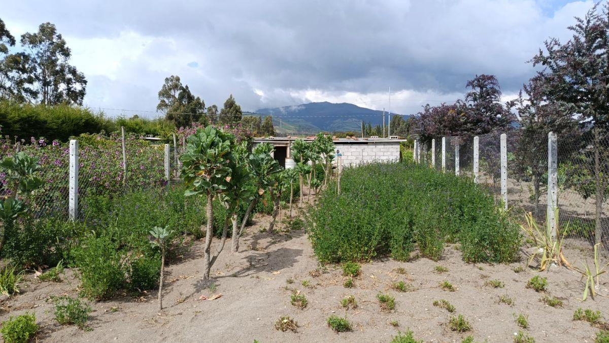 Venta Terreno Malchingui, Buena Esperanza 3030 m² — imagen 2