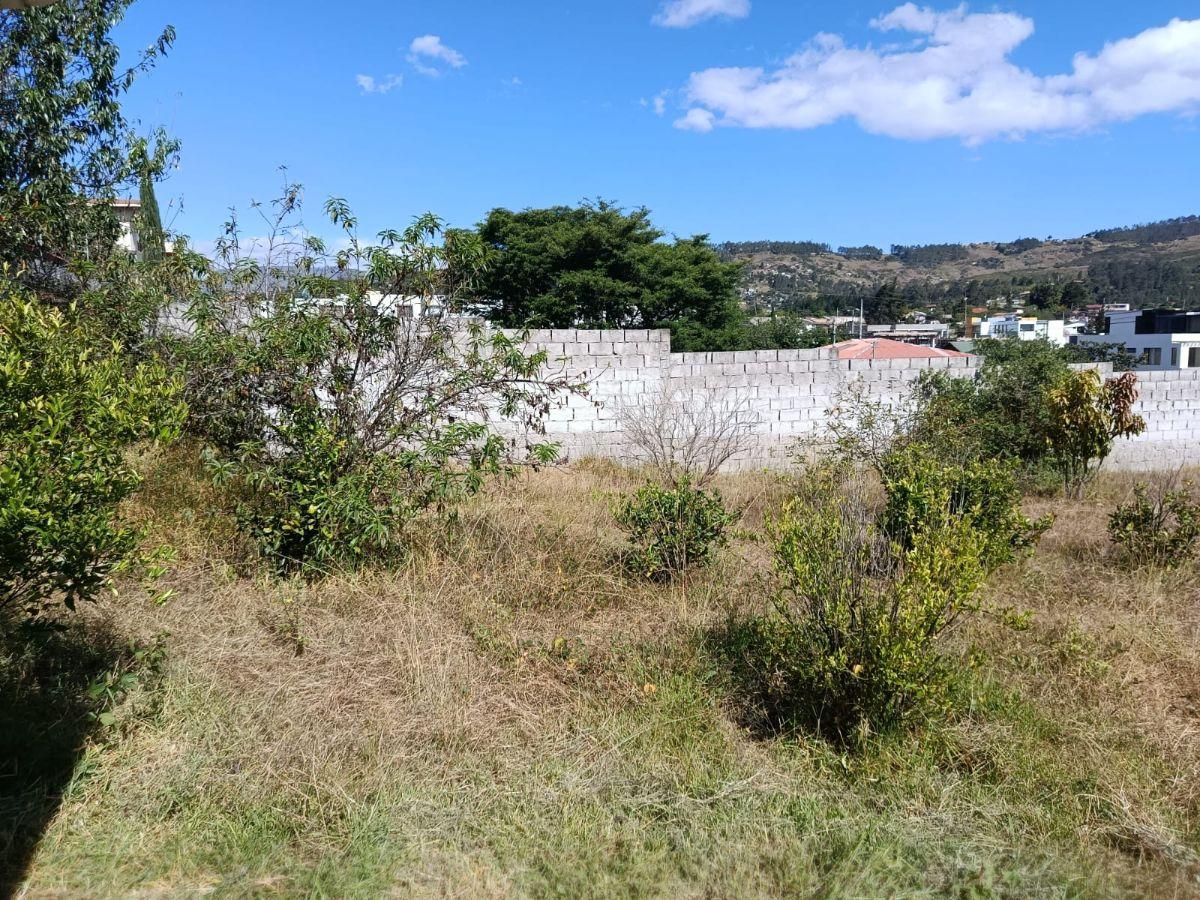 Se Vende Terreno Tumbaco — imagen 5