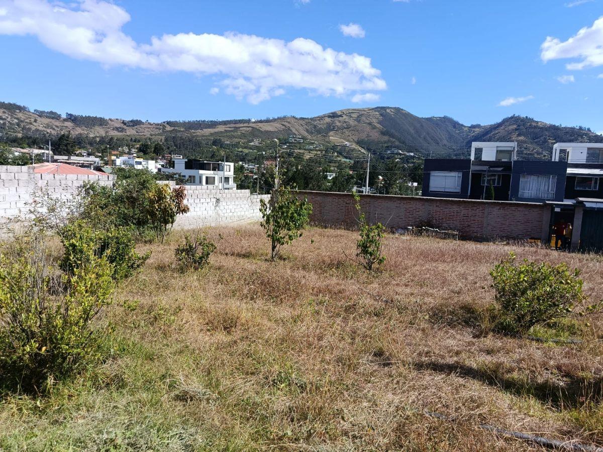 Se Vende Terreno Tumbaco — imagen 4