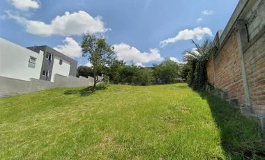 Terreno en venta en Tumbaco — imagen 4