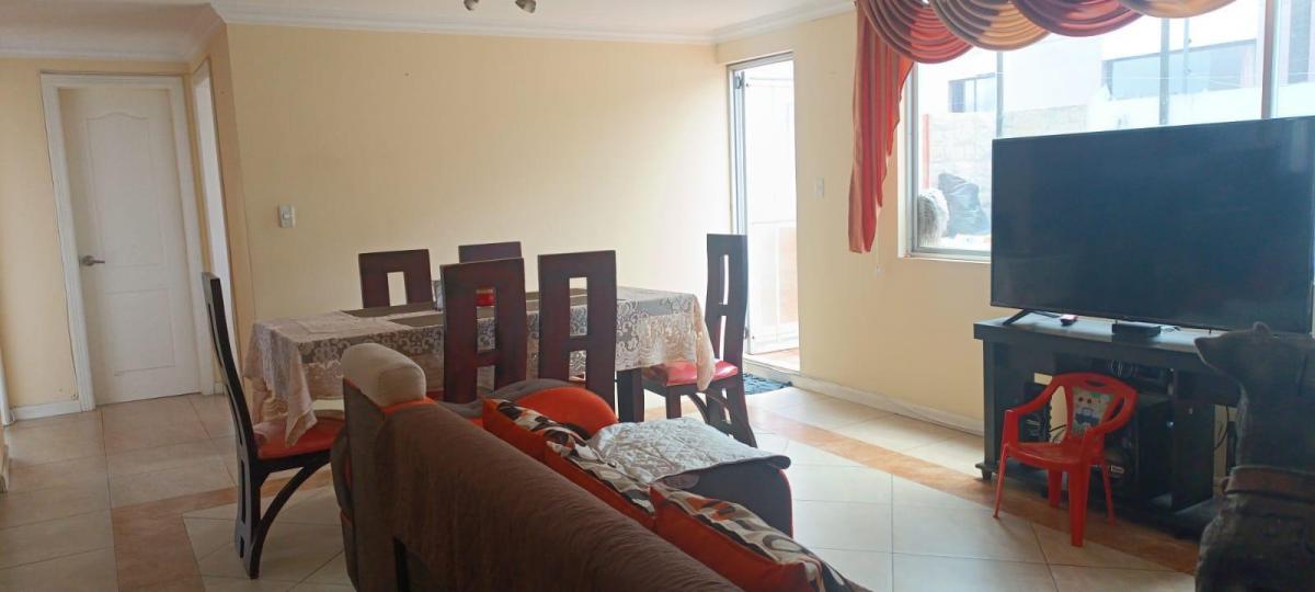 Departamento en Planta Baja – Mastodontes, Carcelén — imagen 5