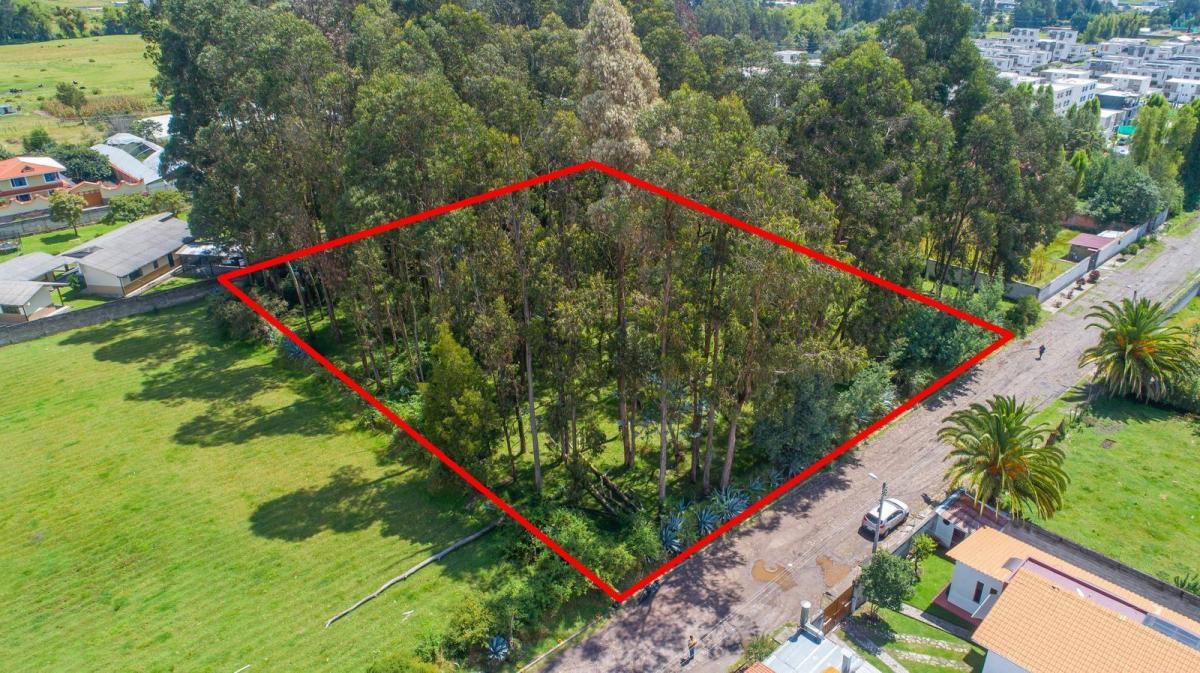 Terreno en Venta 384 m², Buenos Aires - Sector San Isidro del Inca — imagen 7