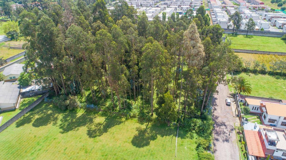 Terreno en Venta 384 m², Buenos Aires - Sector San Isidro del Inca — imagen 6