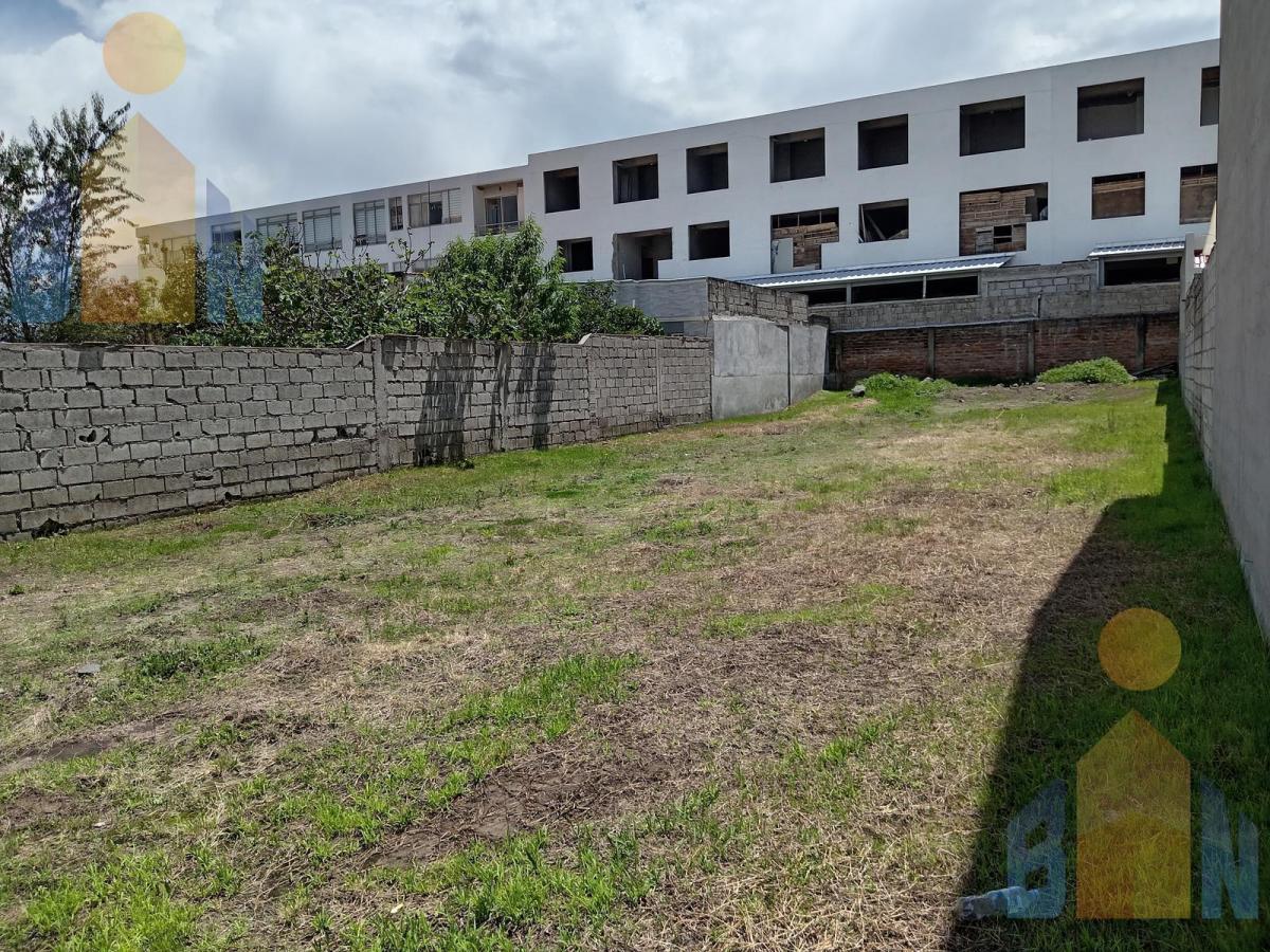 Terreno en La Armenia — imagen 8