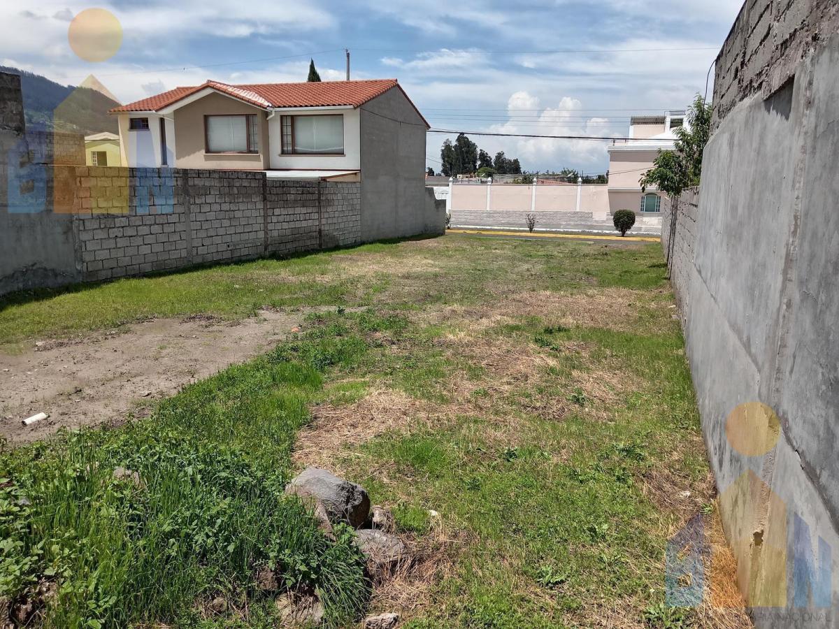 Terreno en La Armenia — imagen 7