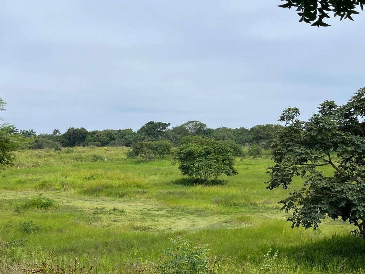Vendo Macrolote de 20 Ha en Sector de Ayampe Ecuador, Manabí — imagen 8