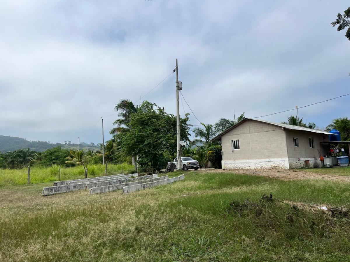 Vendo Macrolote de 20 Ha en Sector de Ayampe Ecuador, Manabí — imagen 7
