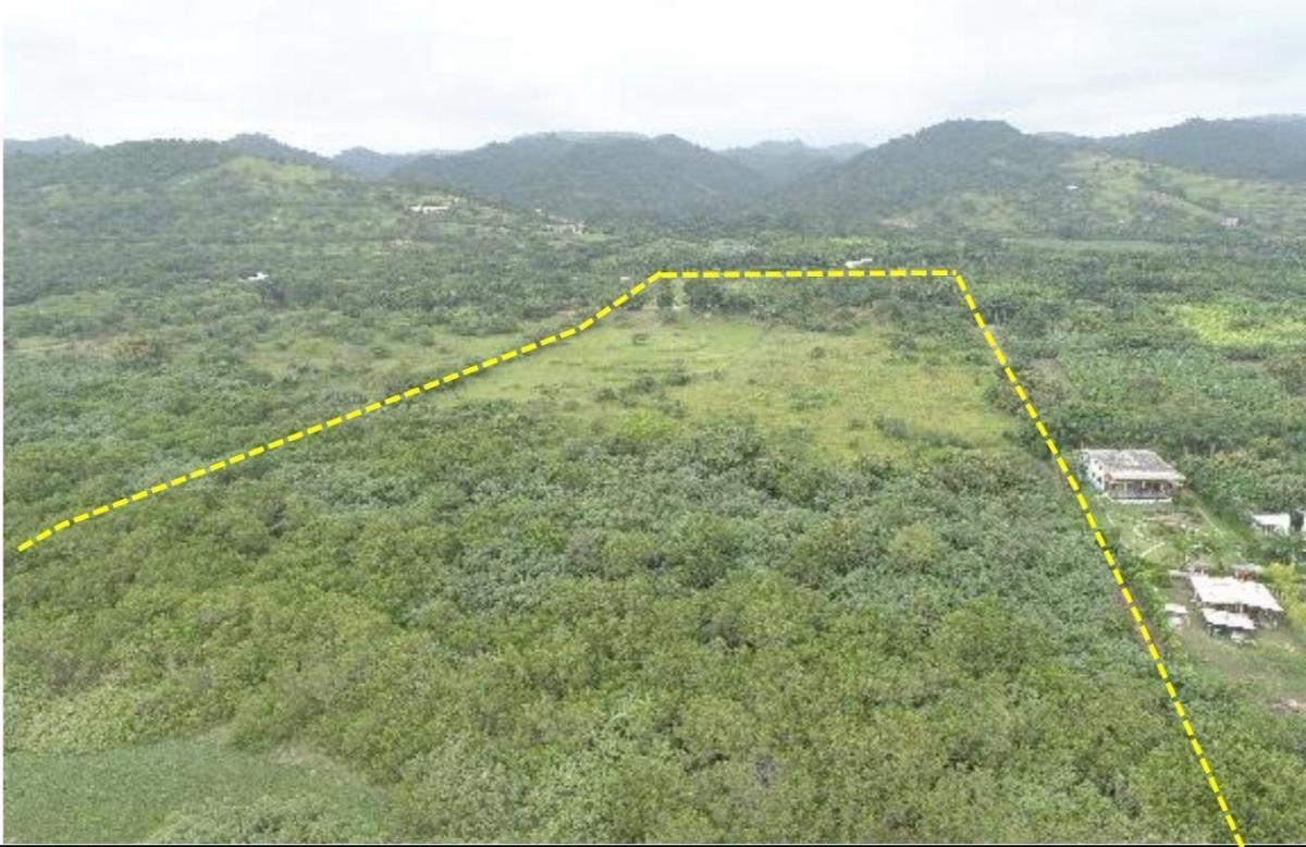 Vendo Macrolote de 20 Ha en Sector de Ayampe Ecuador, Manabí — imagen 2