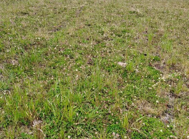 Terreno en venta en Saquisili — imagen 1