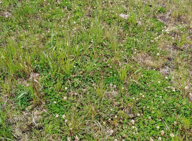 Terreno en venta en Saquisili — imagen 3