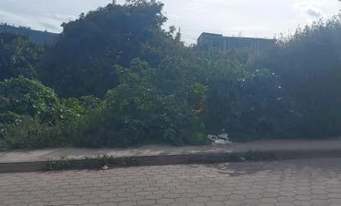 Terreno en venta en Patate — imagen 5