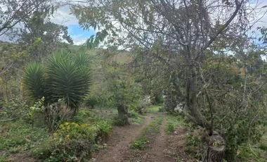 Terreno en venta en Patate — imagen 4