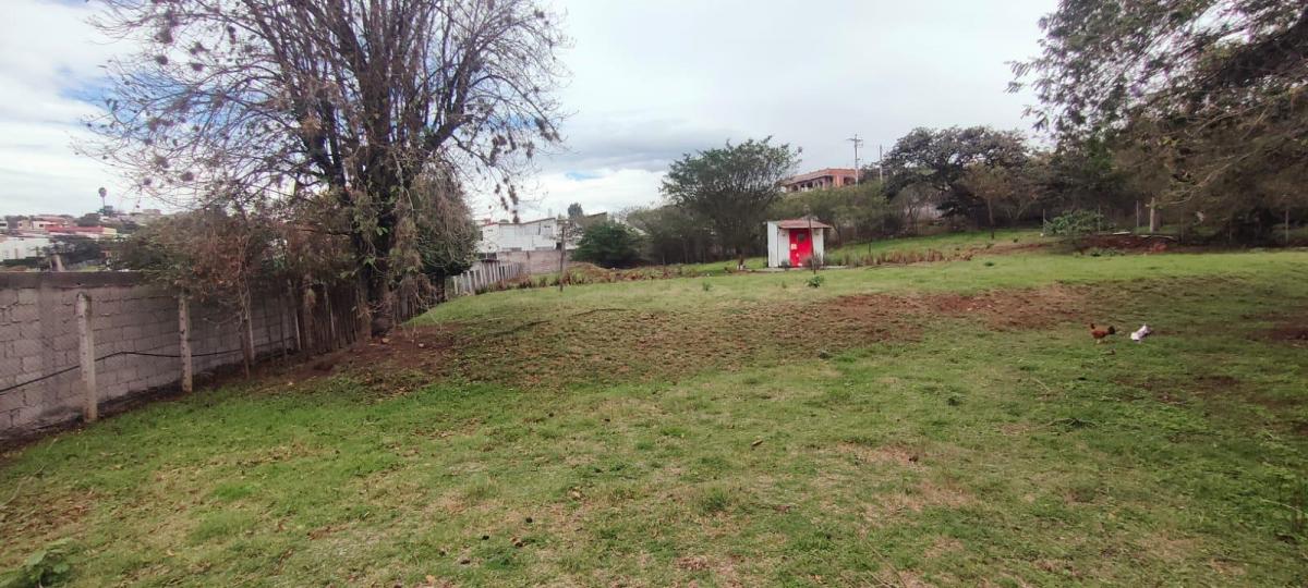 Venta Terreno Sector Tumbaco — imagen 10