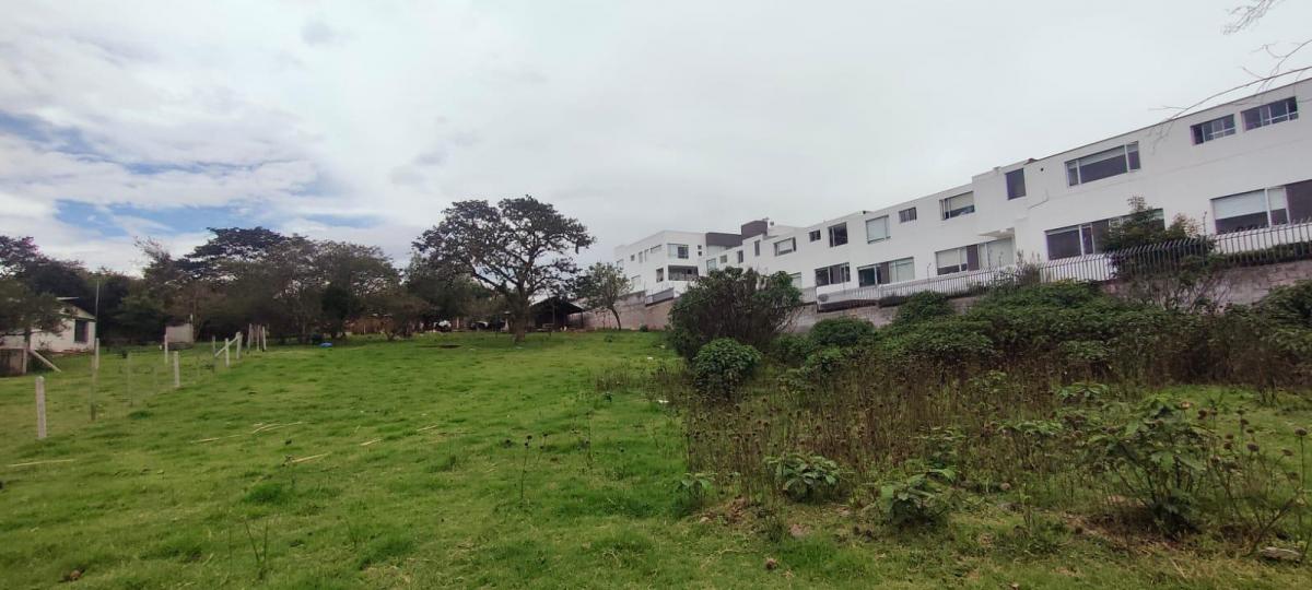 Venta Terreno Sector Tumbaco — imagen 8