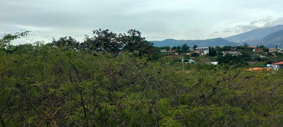 Venta Terreno Sector Tumbaco — imagen 6