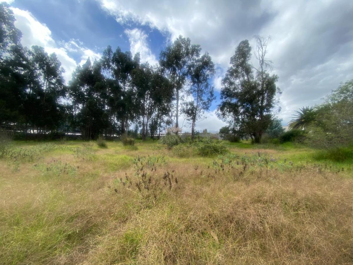 Venta Terreno Sector Valle de Los Chillos — imagen 6