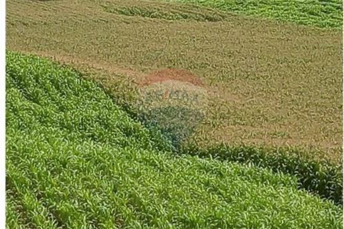 Finca de Venta en Lodana Santa Ana Manabí, Manabí — imagen 10