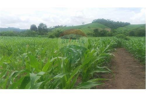 Finca de Venta en Lodana Santa Ana Manabí, Manabí — imagen 8
