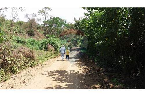 Finca de Venta en Lodana Santa Ana Manabí, Manabí — imagen 2
