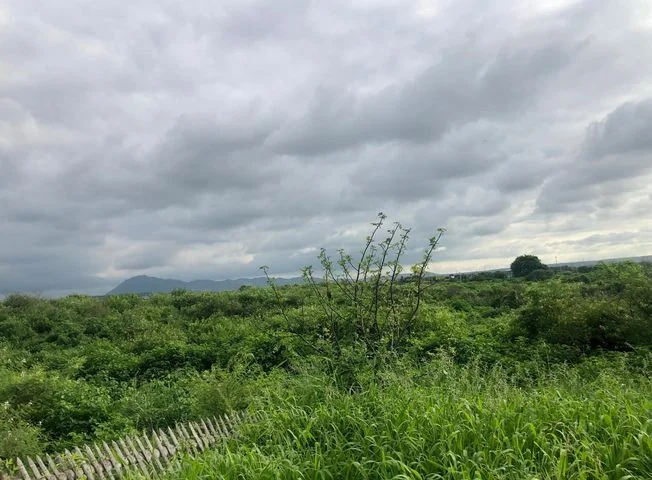 Terreno en venta en Manta — imagen 2