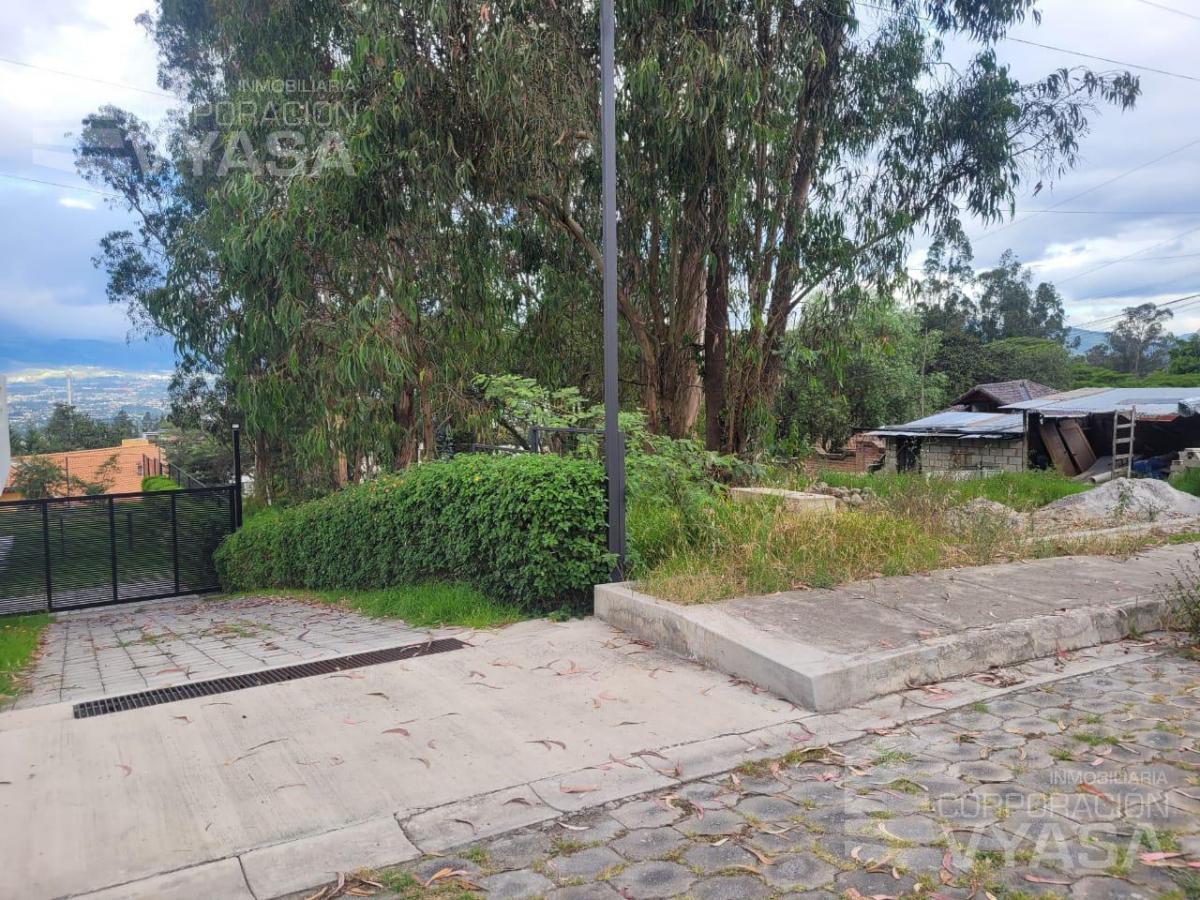 Nayón - Terreno en Venta de 1000 m² Dentro de Conjunto — imagen 4