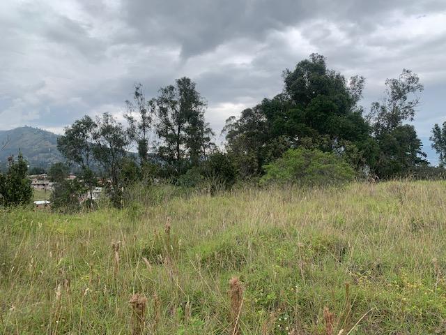 Terreno de Venta en Tumbaco Sector La Morita — imagen 8