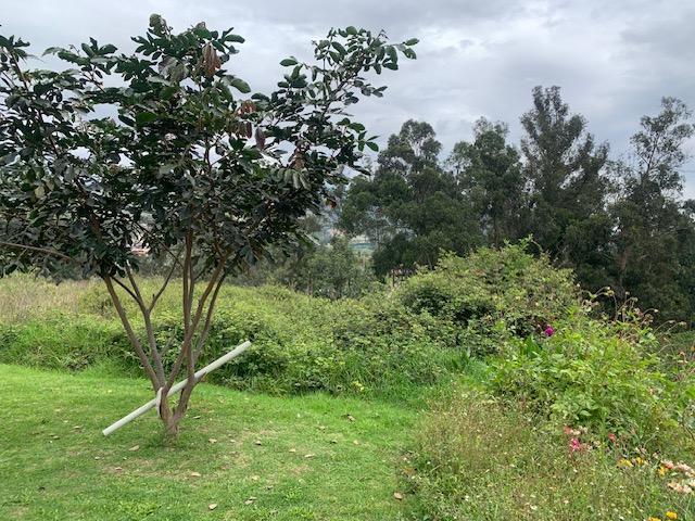 Terreno de Venta en Tumbaco Sector La Morita — imagen 7