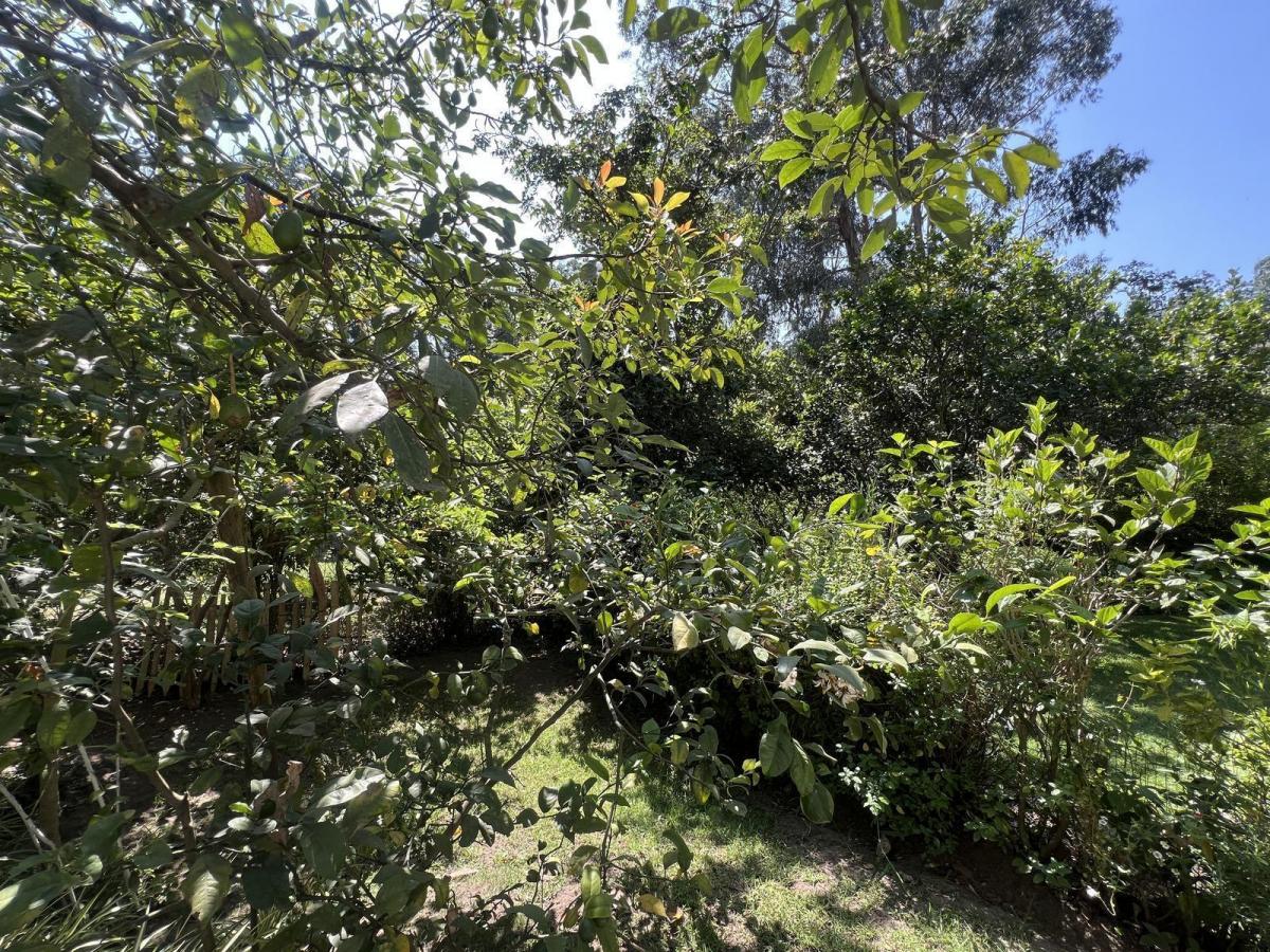 Terreno en Venta en San Juan de Cumbaya Ideal Para Constructores — imagen 8