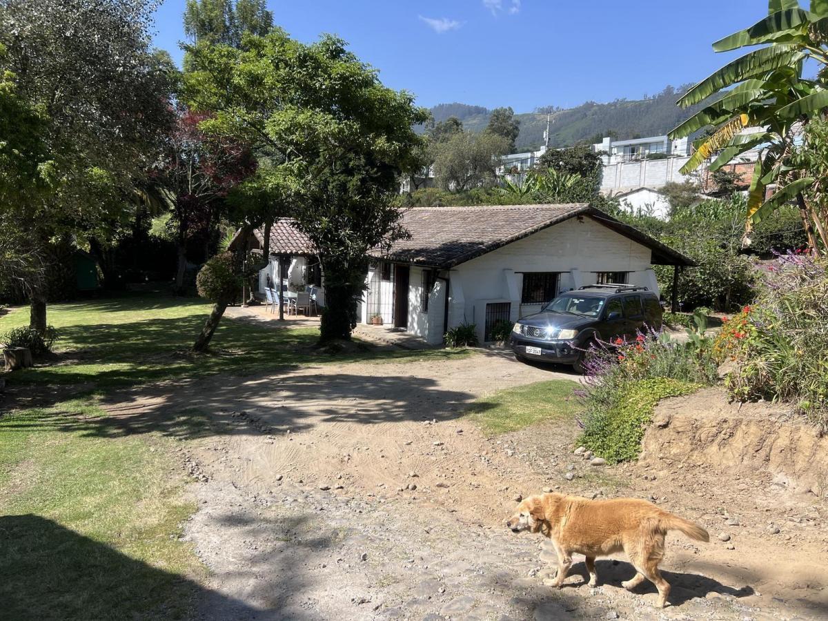Terreno en Venta en San Juan de Cumbaya Ideal Para Constructores — imagen 6