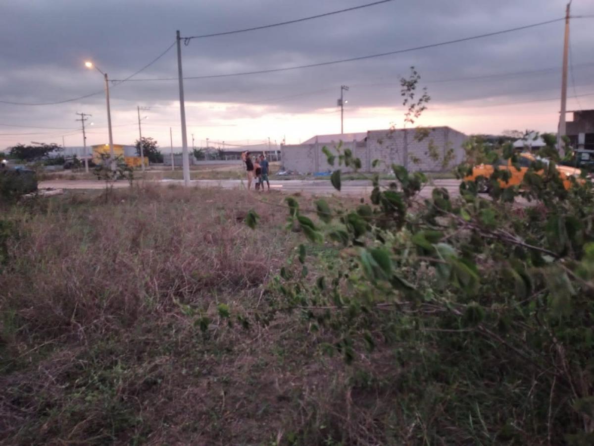 Terreno de Venta en Mi Lote, Guayaquil, Km 16.5 Vía a Daule, 96 m², Guayas — imagen 6