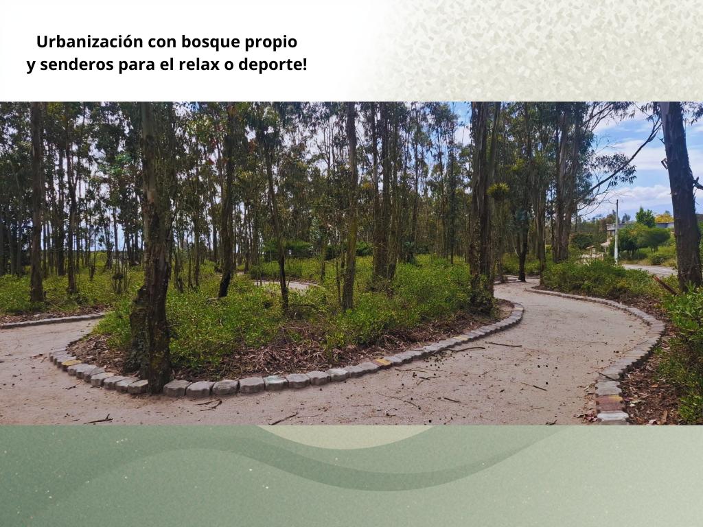 Venta Lote de Terreno Urbanización Algarrobos Malchingui Pichincha — imagen 7