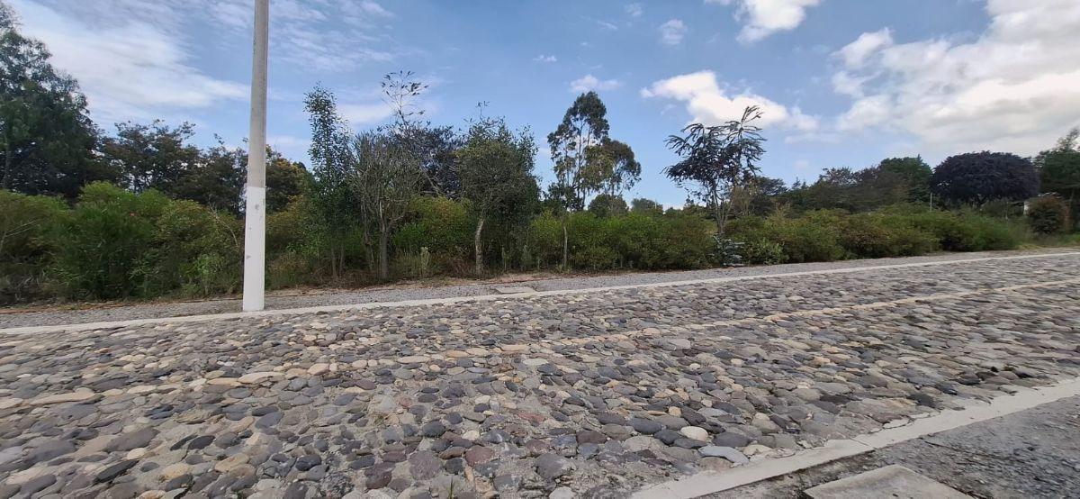 Venta Lote de Terreno Urbanización Algarrobos Malchingui Pichincha — imagen 3