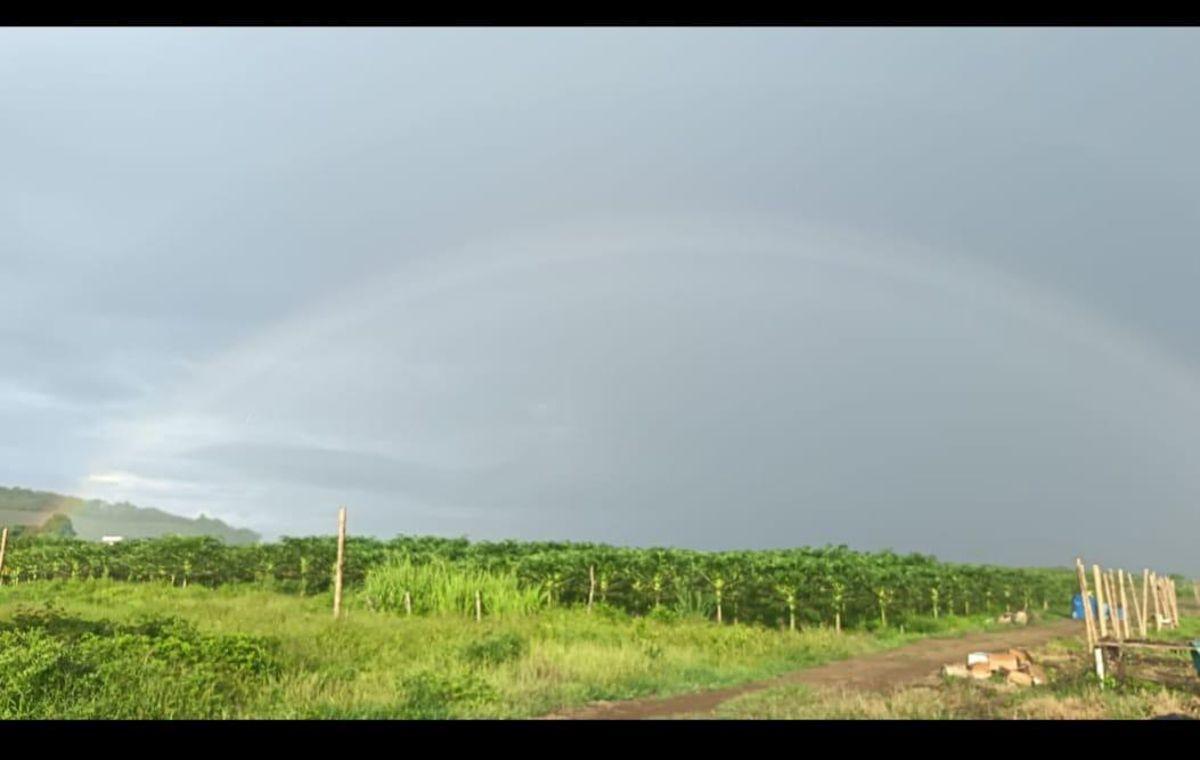 Terreno en Venta en Jama – Ruta del Sol, Manabí — imagen 8