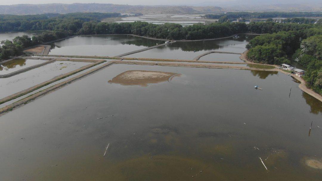 Camaronera de Venta en Tosagua Manabi Ar, Manabí — imagen 8