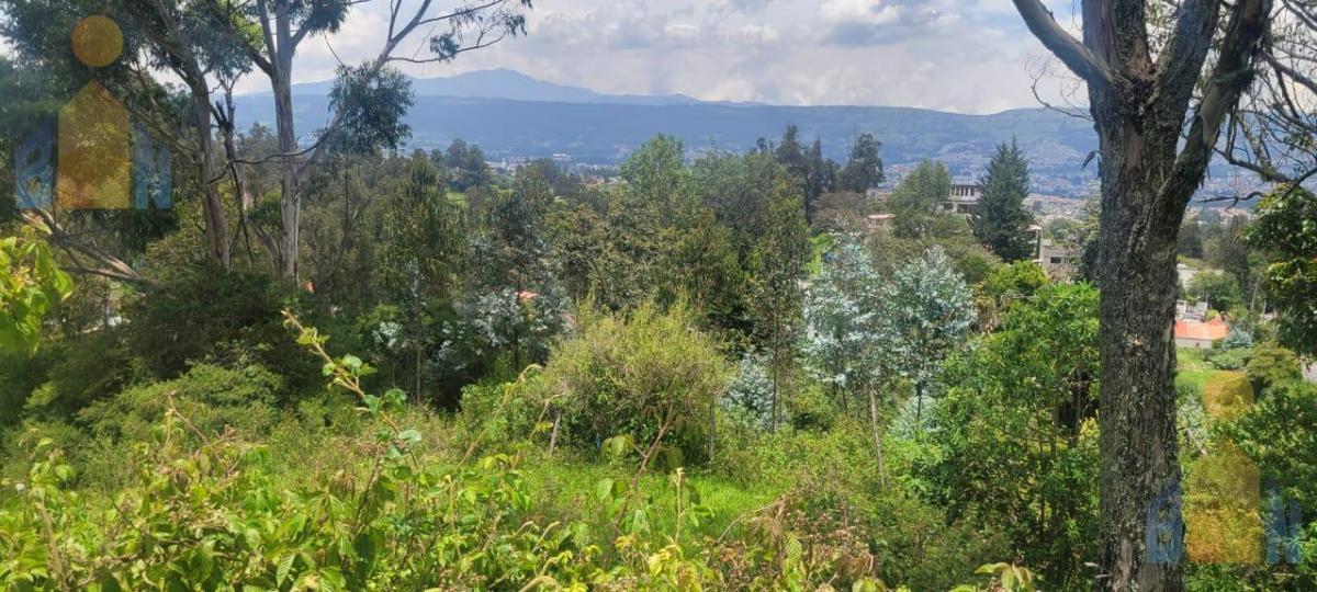 Terreno en Venta - Sector Alangasi — imagen 9