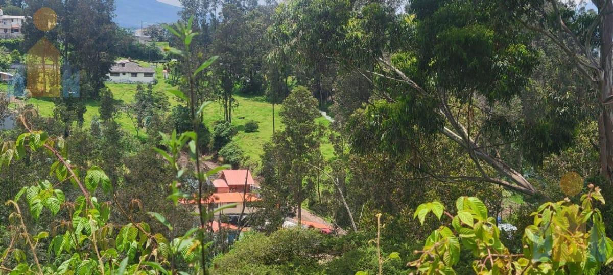 Terreno en Venta - Sector Alangasi — imagen 8