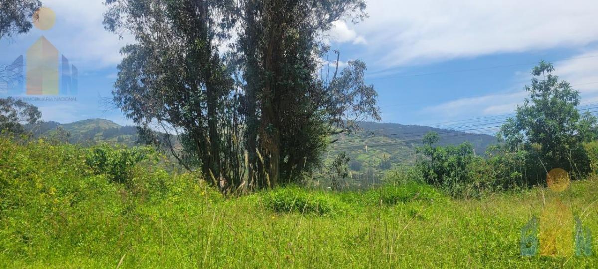 Terreno en Venta - Sector Alangasi — imagen 6