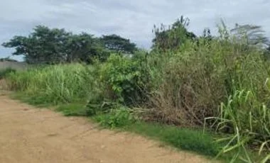 Terreno en venta en Machala — imagen 3