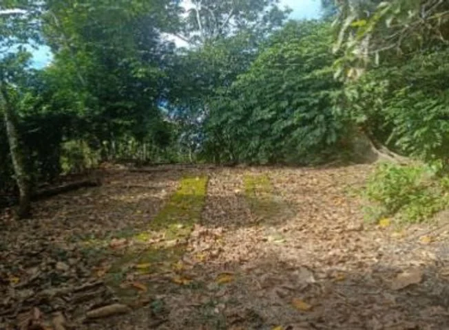 Terreno en venta en Francisco De Orellana — imagen 3