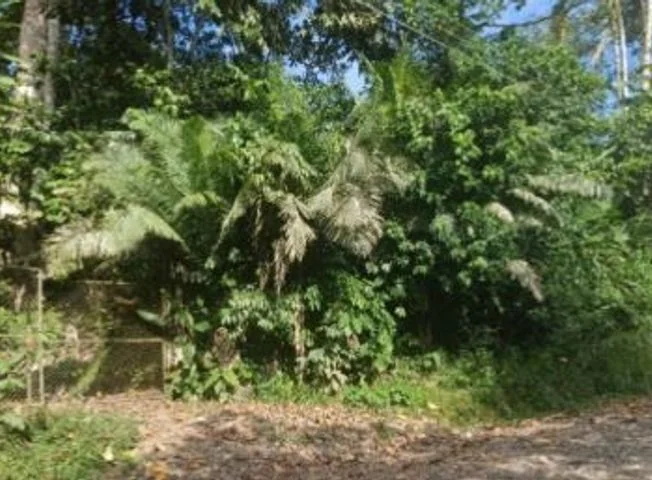 Terreno en venta en Francisco De Orellana — imagen 2