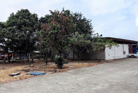 Venta Terreno con Bodega Chongon, Guayas — imagen 8