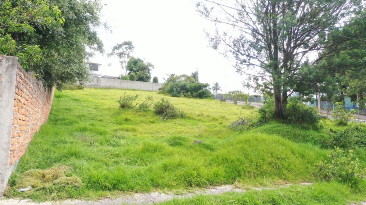 Terreno Independiente en Venta 1285 m² Sector Cashapamba Valle de Los Chillos — imagen 3