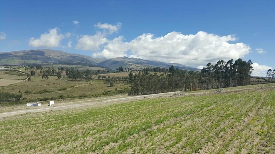 Cochasqui Terreno de Venta 2016,30 m² — imagen 10