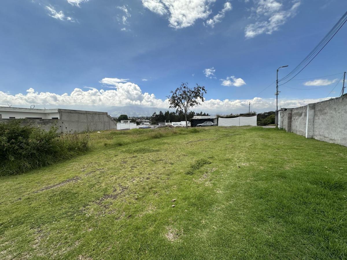 Terreno en Puembo Dentro de Urbanizaciòn Privada 439 Mtrs2 Plano — imagen 10