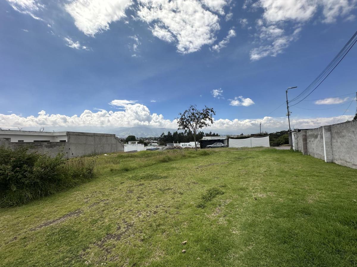 Terreno en Puembo Dentro de Urbanizaciòn Privada 439 Mtrs2 Plano — imagen 9