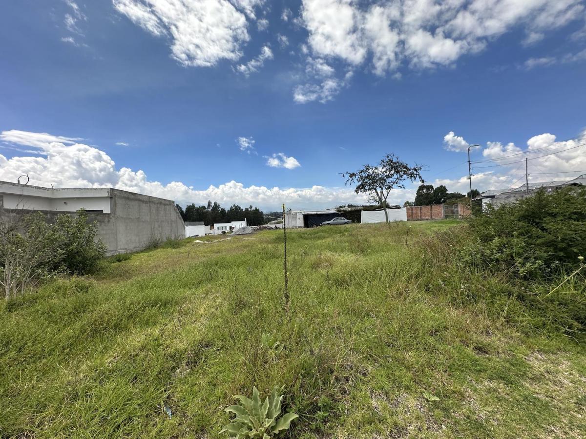 Terreno en Puembo Dentro de Urbanizaciòn Privada 439 Mtrs2 Plano — imagen 8